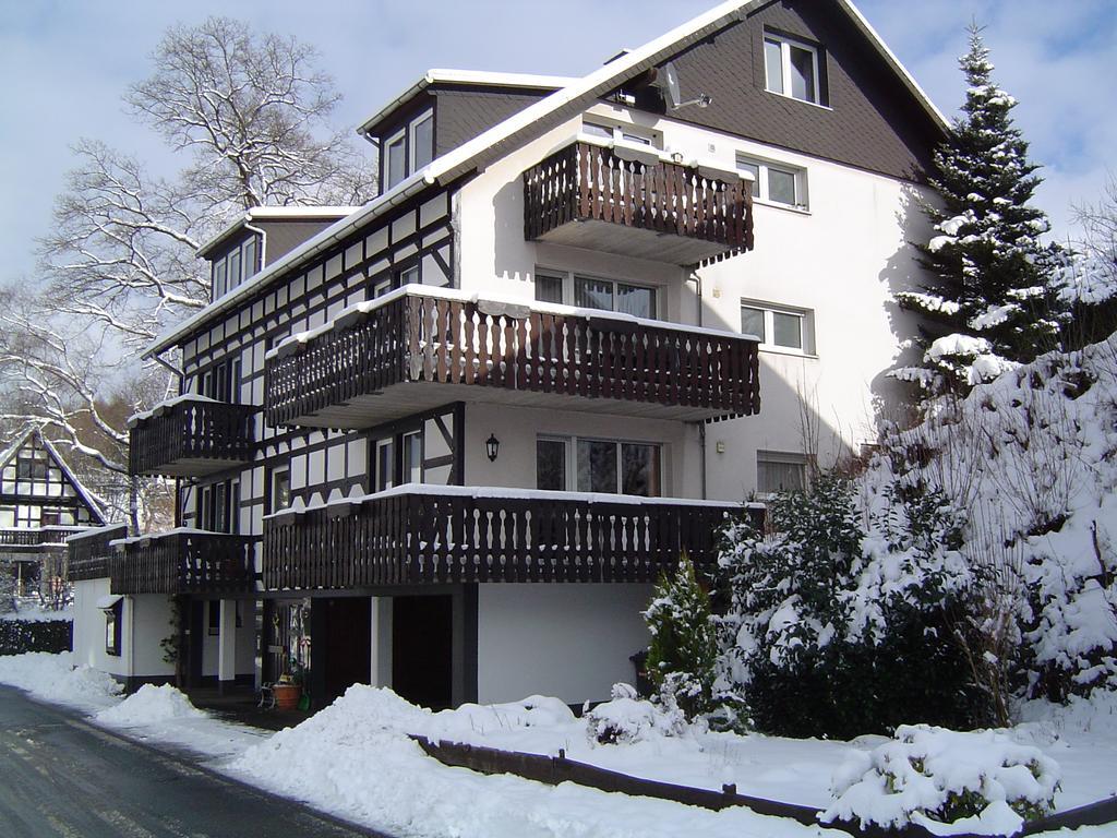 Ferienhaus Hedrich Assinghausen Exteriör bild